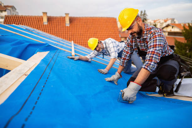 Gutter Replacement in Three Rivers, MI