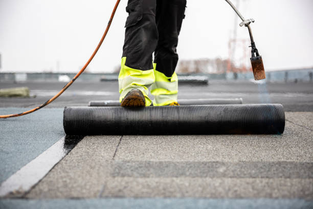 Best Roof Maintenance and Cleaning  in Three Rivers, MI