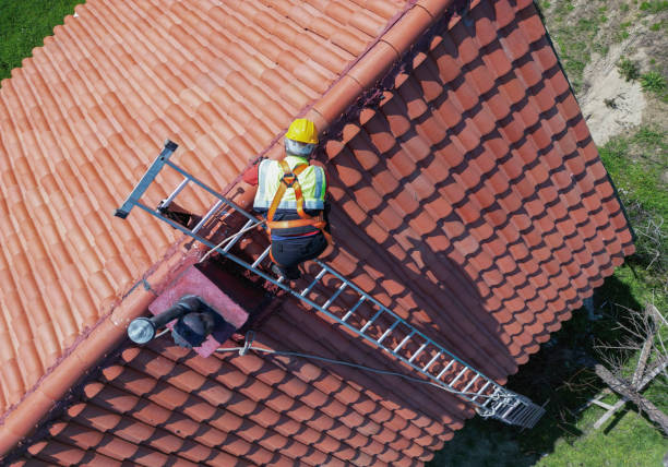 Best Roof Coating and Sealing  in Three Rivers, MI