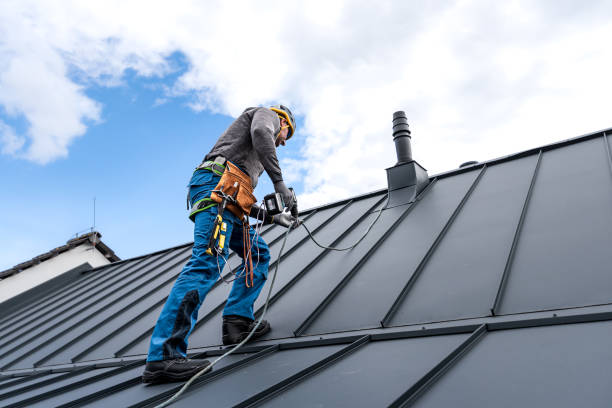 Best Solar Panel Roofing Installation  in Three Rivers, MI