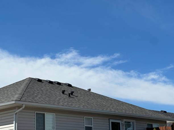 Best Gutter Installation and Repair  in Three Rivers, MI