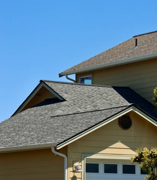 Best Roof Moss and Algae Removal  in Three Rivers, MI